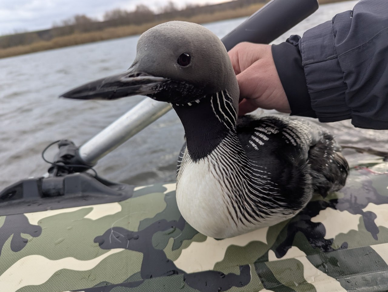 Чудо на рыбалке: история спасения