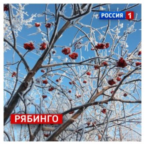 22 ноября, суббота. По народному календарю сегодня День Матрёны Зимней