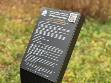 В Соловьиной роще Курска появится экотропа