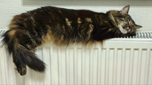 В Курске сегодня отключат отопление и горячую воду в Северо-Западном районе