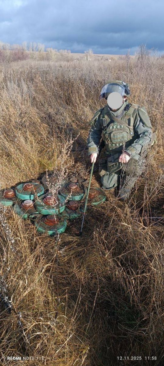 Саперы «БАРС-Курск» очистили от боеприпасов более 450 гектаров Курской области