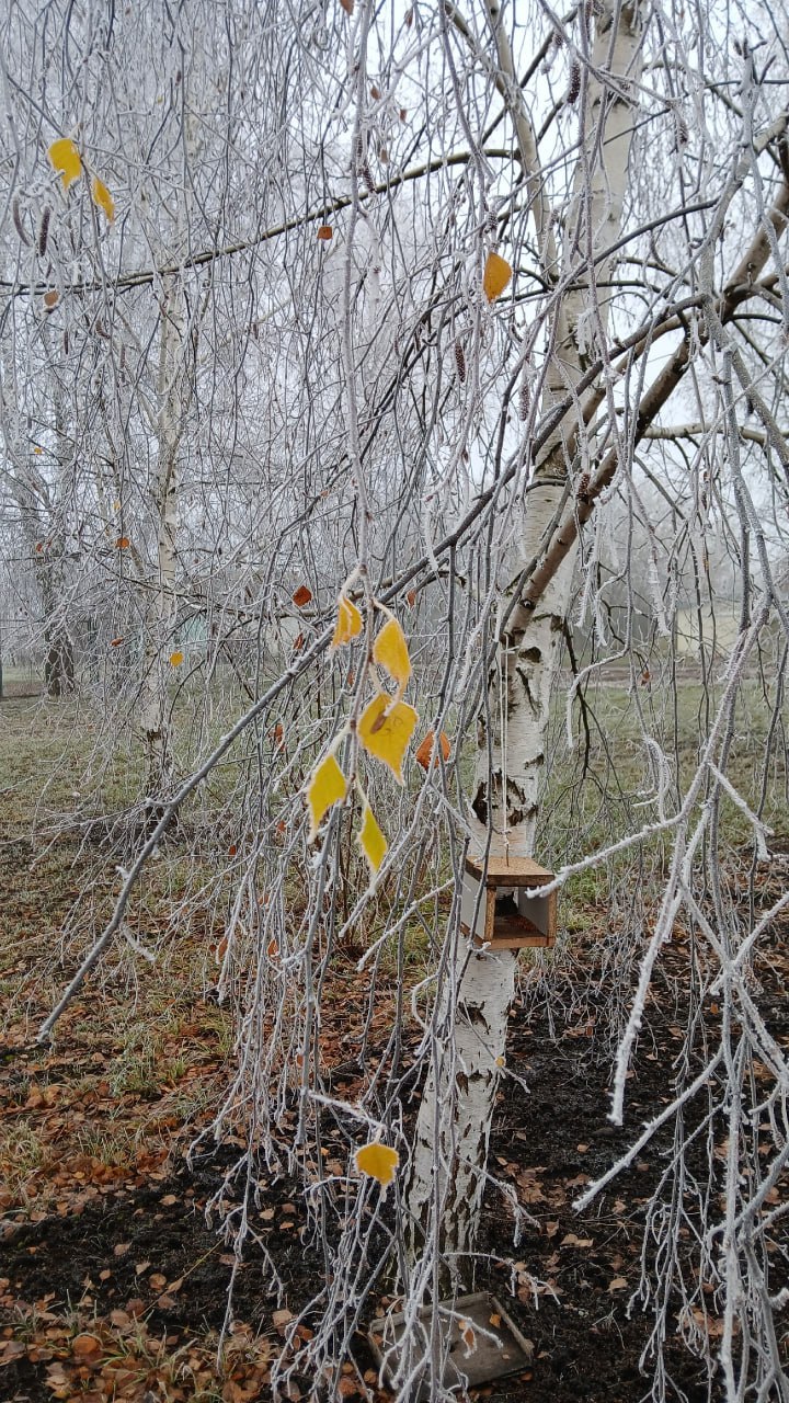 Нина Голубева: Пролистывая ленту, наткнулась на волшебные фотографии Татьяны Бобровской из поселка Лачиново