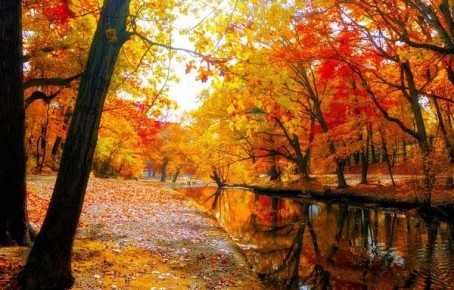 Погоду делает тот, кто не слушает прогноз. Представляем прогноз на 24 ноября в Курске