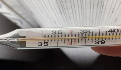 В Курской области заболеваемость ОРВИ увеличилась на 30%?