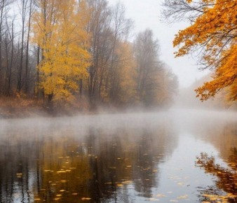 В Курской области 25 ноября ожидается до 4 градусов мороза
