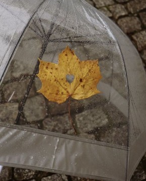  !.  ,    ,   +5C,    ,      0C