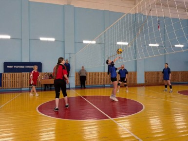 Курские единоросс провели соревнования по волейболу «Лига четырех школ»