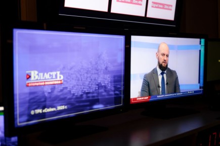 Красного леса в центре Курска не будет