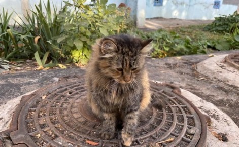 В Курской области 26 ноября ожидается до +7 градусов