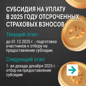 В рамках программы комплексного восстановления и развития пострадавших территорий Курской области пострадавшему бизнесу предусмотрена субсидия на уплату в 2025 году отсроченных страховых взносов