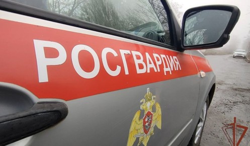 Курские росгвардейцы за неделю совершили 246 выездов по сигналу «тревога»