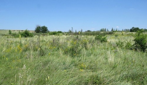 В Курской области обновили перечень видов для Красной книги