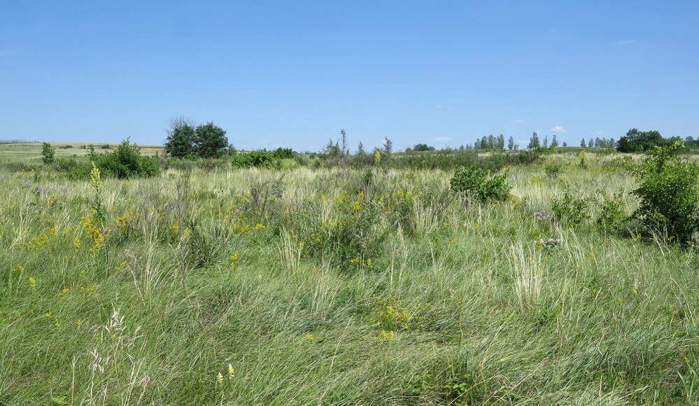 В Курской области обновили перечень видов для Красной книги