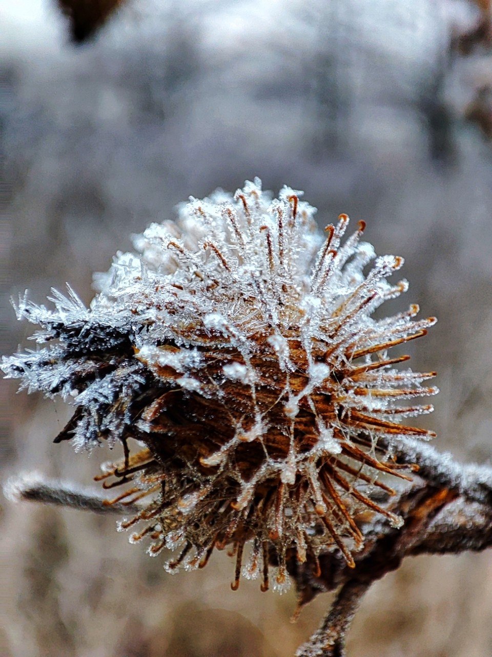 Доброе утро, Пристенский район!