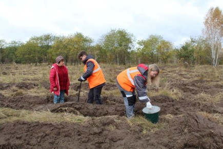 В Курской области проведено компенсационное восстановление на площади 16 га