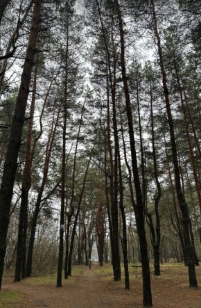 Доброе утро!. Сегодня, в среду, 26 ноября по прогнозу регионального отделения МЧС ожидается облачная погода с прояснениями