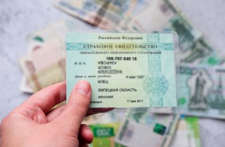 Куряне смогут восстановить СНИЛС через Госуслуги