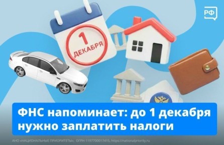 У вас осталось меньше недели, чтобы заплатить налоги без пеней и штрафов