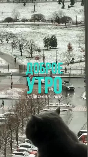 Доброе утро!. Последние денечки осени и погода у нас еще осенняя