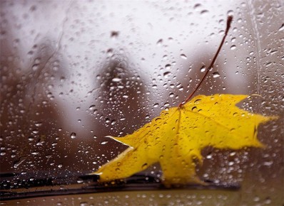 Доброе утро!. Днём будет пасмурно, +8°C, возможен небольшой дождь
