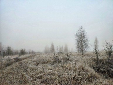 Доброе утро, Пристенский район!