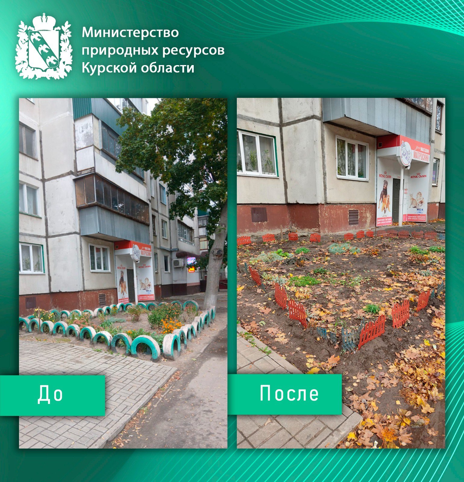 В адрес Министерства природных ресурсов Курской области из Центра управления регионом Курской области поступило обращение от жителя областного центра