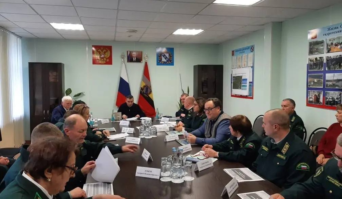 Лесное хозяйство Курской области находится в непростой ситуации