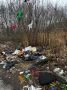 #Нам_пишут. Долго это будет продолжаться? Лес за домом №10 по улице Островского превратили просто в помойку