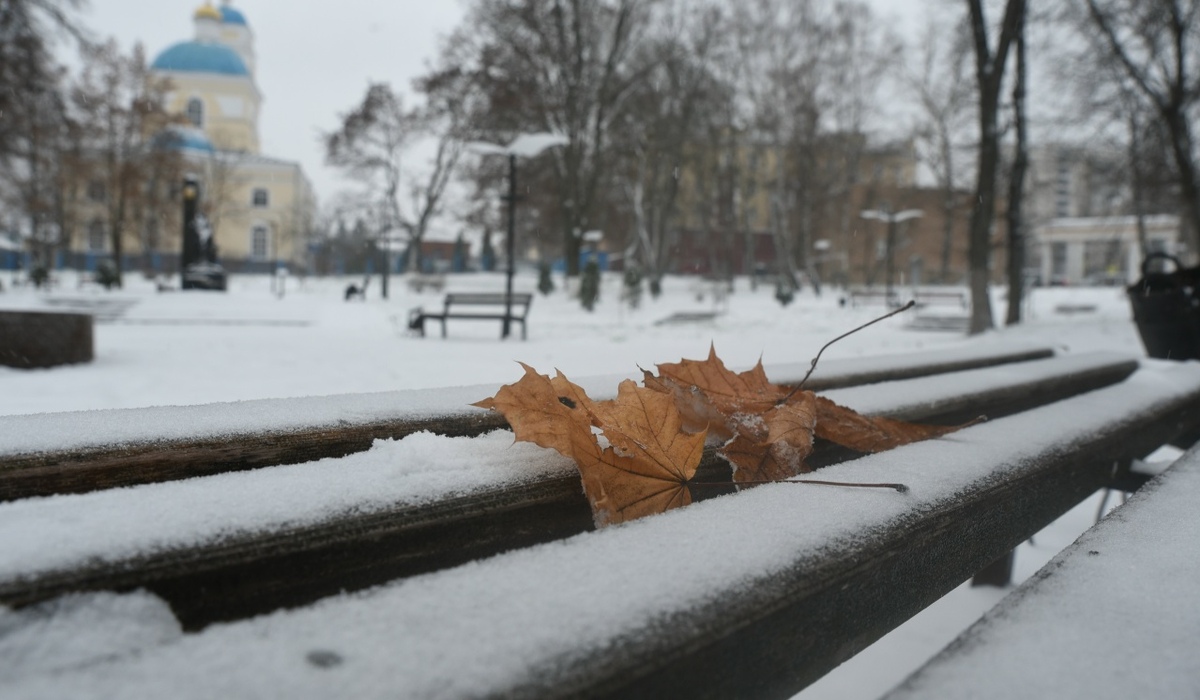 В Курской области 4 декабря ожидаются снег, дождь и 5 градусов тепла