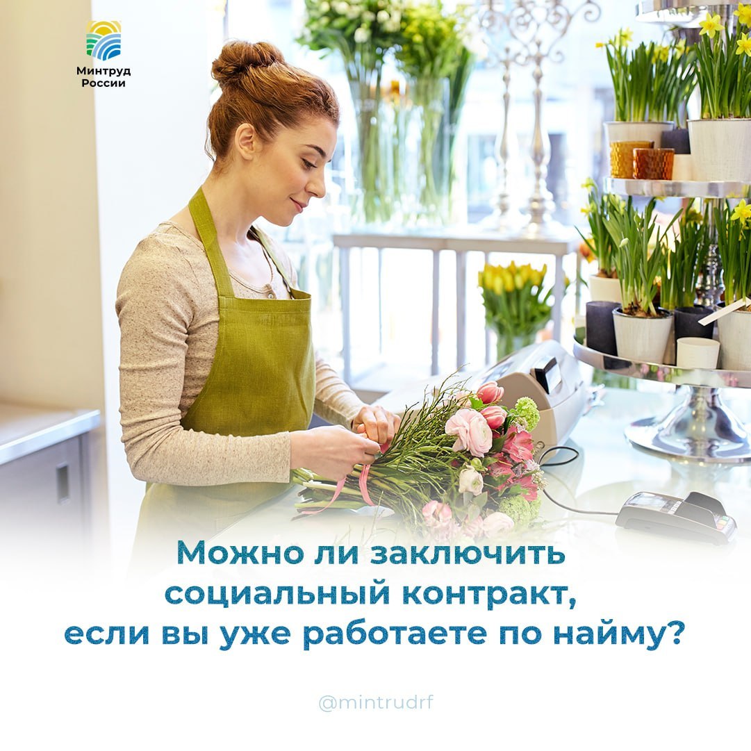 Можно ли заключить социальный контракт, если вы уже работаете по найму?