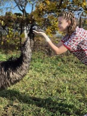 В Курске ветеринары спасли экзотического пациента