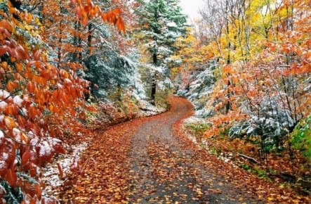 Доброе утро!. Сегодня, в четверг, 4 декабря, по прогнозу регионального отделения МЧС, в Курской области облачно