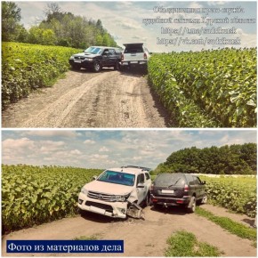 Под Курском на поле с подсолнухами столкнулись два «японца»