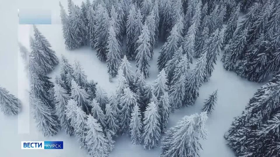 �� 7 �������. ����� ������ | �������� | MAX