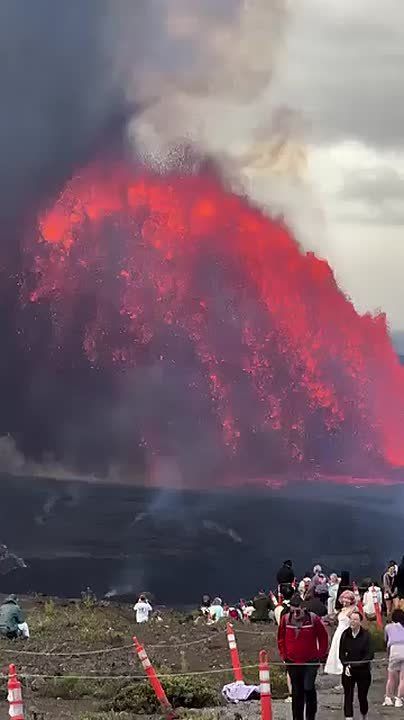 ������� �� ���� 7 �������: