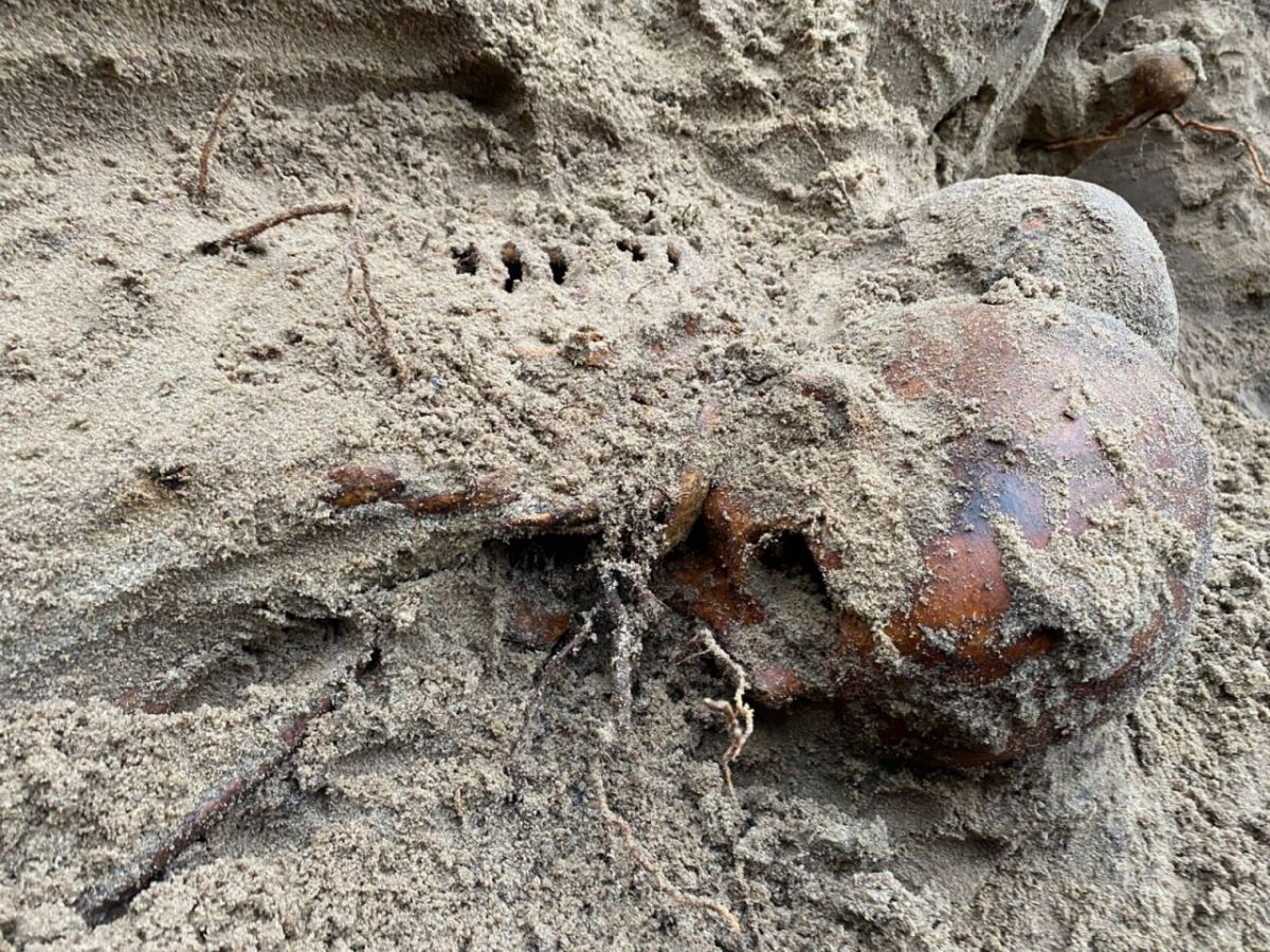 Человеческие останки времен ВОВ нашли в Курске