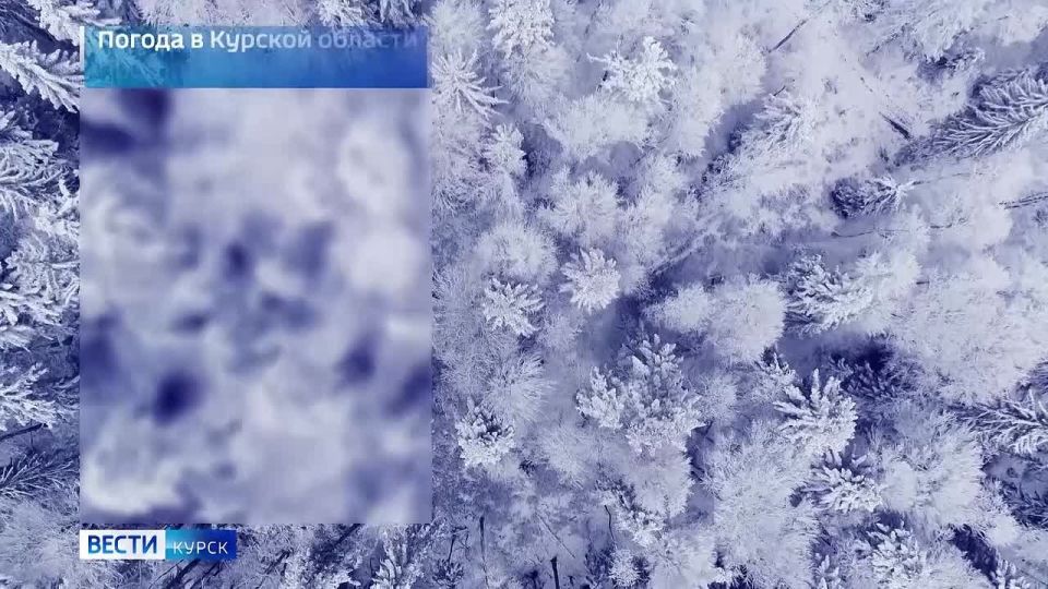 �� 11 �������. ����� ������ | �������� | MAX