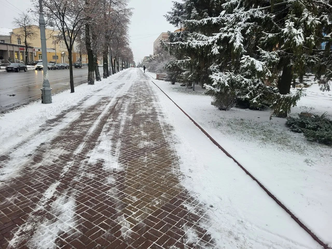 В Курске расчищают от снега парки и скверы