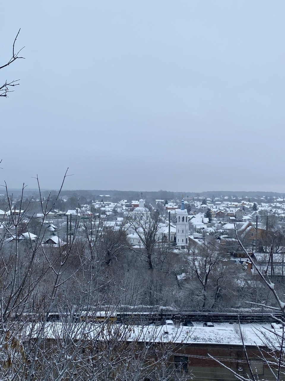 В Курск пришла зима! Город укрыт снежным покровом, улицы и здания преобразились, создав атмосферу зимнего уюта