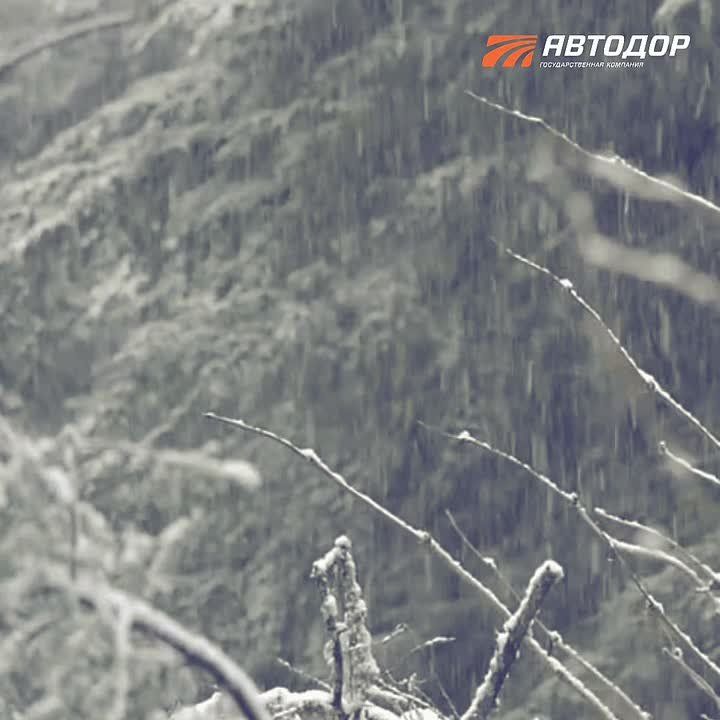 ��������, ��������! ��������� �������� �������