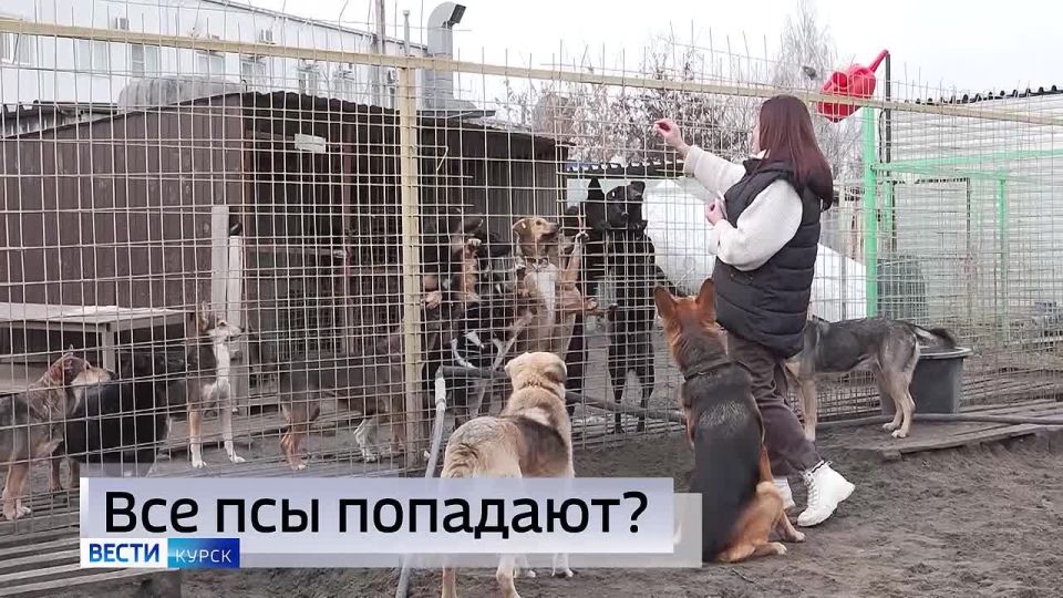 11111 ������� ���� ������� ������� ����� � ����� ��������� ����� � ����� �����: