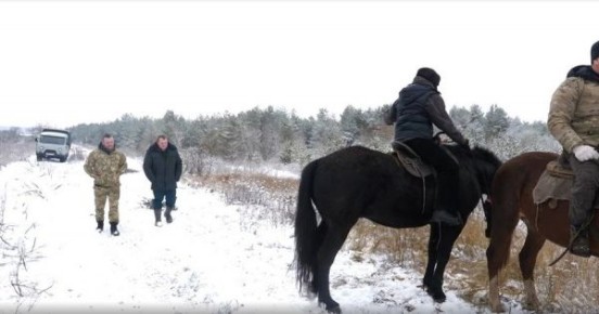 В курских лесах усилены патрули, ущерб от незаконных рубок превысил 32 миллиона