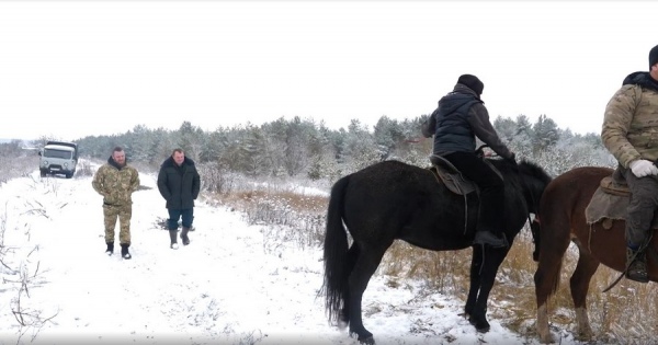 В курских лесах усилены патрули, ущерб от незаконных рубок превысил 32 миллиона