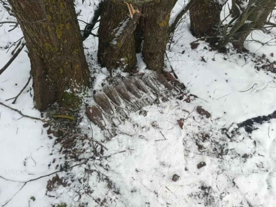 � ������� ������ ������� ������� ����������� 9 ����������� ������ ���