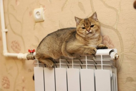 В центре Курска до 22:00 отключили отопление и горячую воду