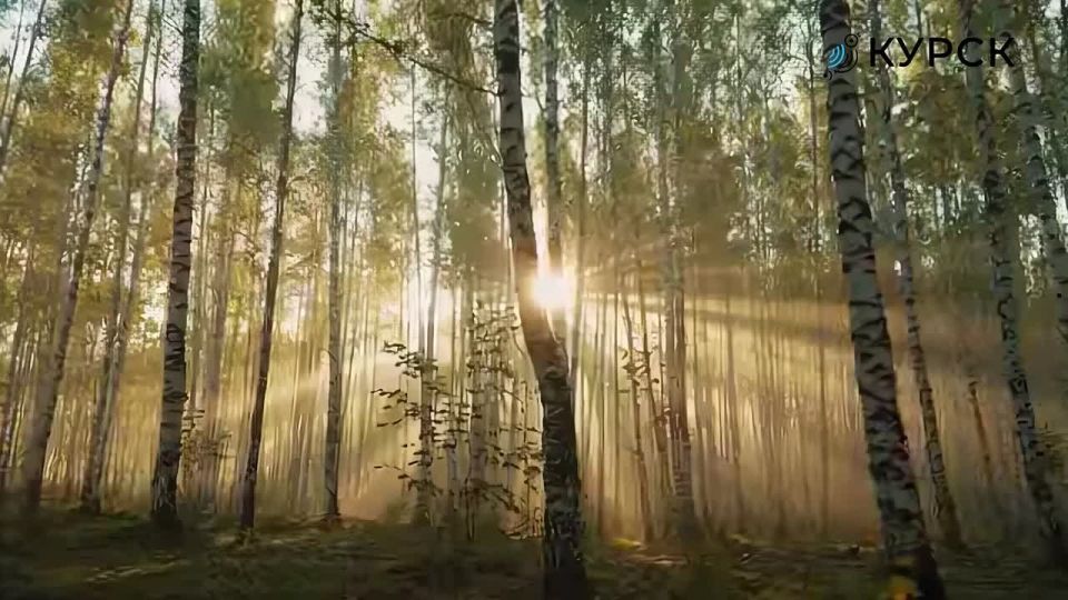 2026 ��� �������� � ������ ����� �������� �������