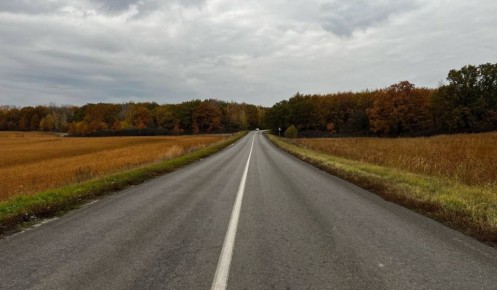 В Фатежском районе 26-летний водитель ударил другого автомобилиста после ДТП