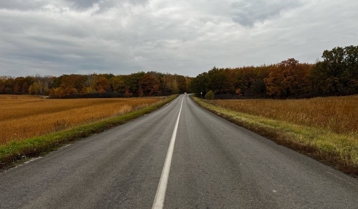 В Фатежском районе 26-летний водитель ударил другого автомобилиста после ДТП