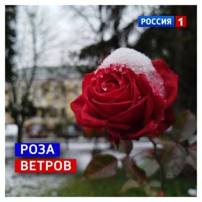 12 декабря, четверг. Погодные качели могут укачивать