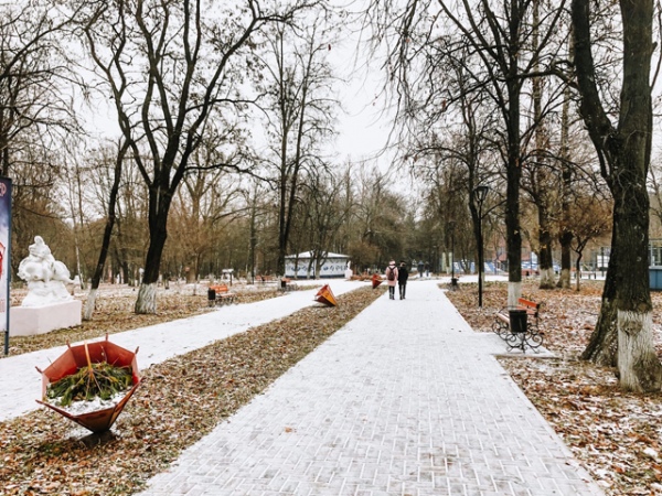 Какая погода на выходных 13-14 декабря ожидается в Курской области